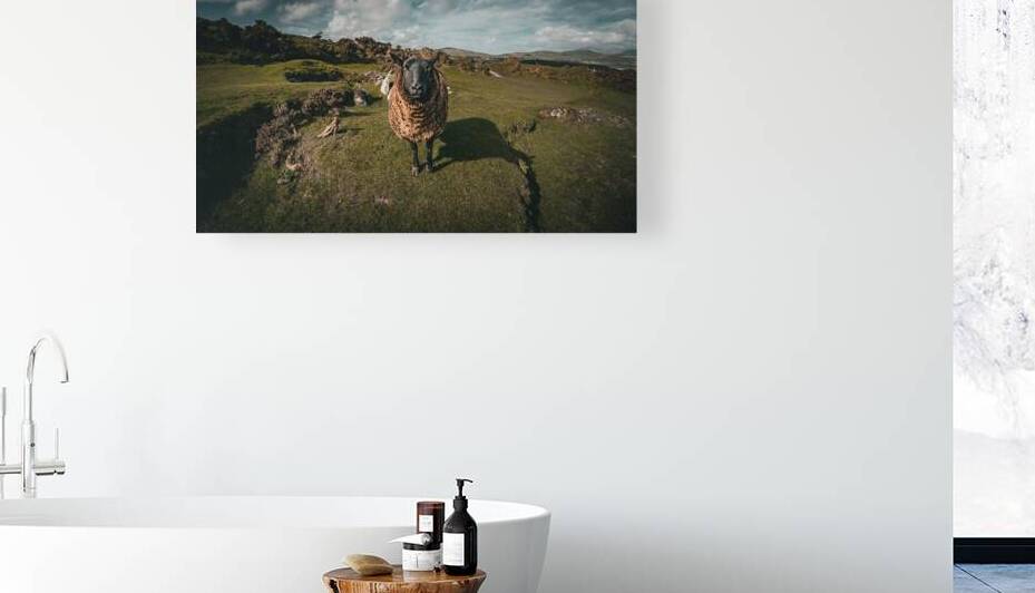 Sheep in the Faerie Circle by Massey Original