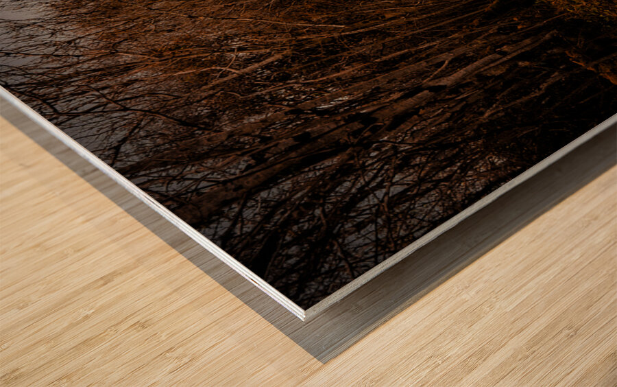 Burren National Park III Wood print