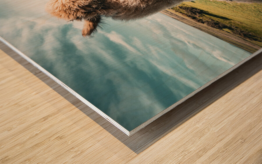 Faerie Circle Wood print